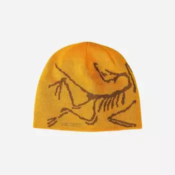 Arc teryx Bird Head Toque Edziza 6756