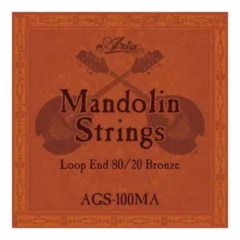 ARIA Mandolin Mandolin Strings AGS-100MA