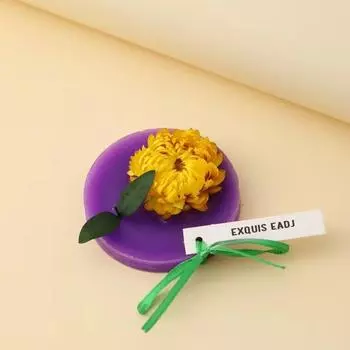 Аромат воска для ароматерапии, ароматный и долговечный шкаф, туалет, удаление запаха, подарочная коробка с вешалкой для сухих цветов, удаление запаха, свежий воздух Medium box packing