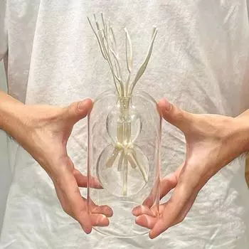 Ароматерапевтический диффузор, двухслойная прозрачная стеклянная ваза, ароматерапевтический флакон в форме тыквы 1set