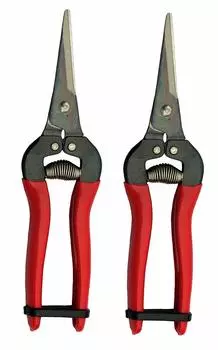 ARS HP-300L Needle Nose Fruit Pruners (2 Pack)