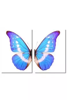 Art Poster Butterfly A2 Set of 2 Interior Stylish Wallpaper Poster Made in Japan Color Monochrome… (Color)