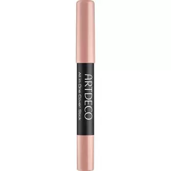 ARTDECO Concealer All-in-One 5 Sahara Rose, 3g
