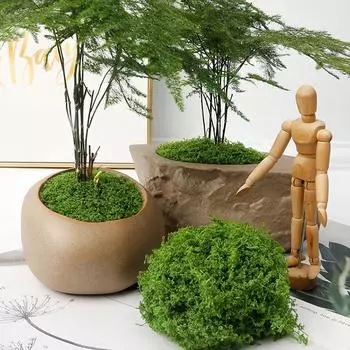 Artificial Green Plants Polyester Moss Grass DIY For Home Living Room Garden Landscape Fake Grass Decoration Crafts 2024