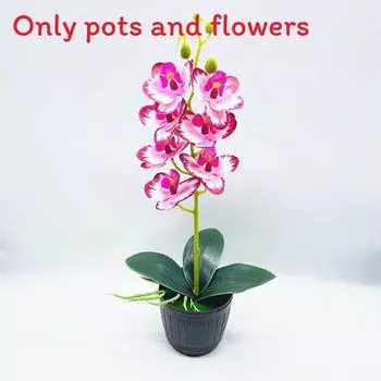 Artificial Phalaenopsis Aphrodite Rchb Potted Plant For Gift And Interior Decor Deep Pink