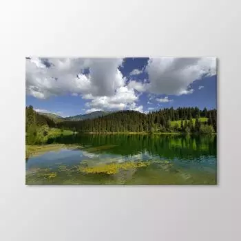 Artvin Живопись