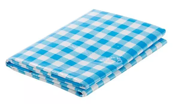 Asahi Koyo Leisure Sheet Gingham Check Button L Size 90 x 180cm Approx.