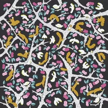 Asakura Senfu Super Furoshiki Nagare Amundsen Guru Guru 70 x 70 см Водоотталкивающая белка, прибл.