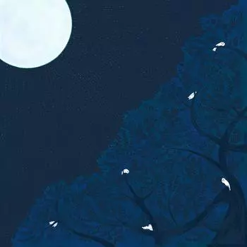 Asakura Senfu Super Furoshiki Nagare in the Night Forest Плетение 96 x 96 см Водоотталкивающее покрытие (Обычный 96см) Прибл.