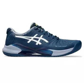 Asics Gel-Challenger 14 all теннисные кроссовки EU 40