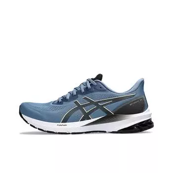 Asics GT-1000 12 Running shoes Men