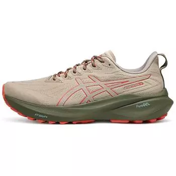 Asics GT 2000 13 TR Nature Bathing - мужские кроссовки Red Snapper серые 1011B954-300 45