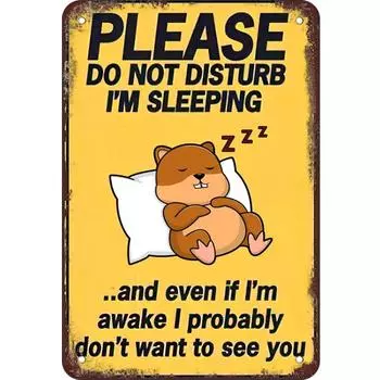 AU Винтажная металлическая пластина Спящая прямоугольная железная картина настенная декорация для дома 20x30 см