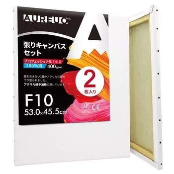 AUREUO набор натянутых холстов F10 среднезернистая льняная ткань 2 шт. профессиональные инструменты для рисования художественная живопись современная масляная живопись художественное оформление