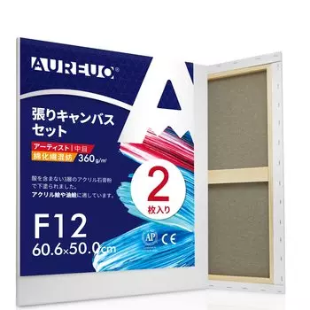 AUREUO Набор натянутых холстов F12 x Смесь синтетических волокон средней зернистости из хлопка и 2 предметов для начинающих художников Художественная живопись Создание современной масляной живописи