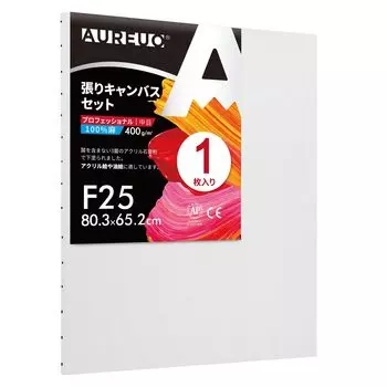 AUREUO Набор натянутых холстов F25 x Среднее зерно, все льняные 1 шт., профессиональные инструменты для рисования, создание художественной живописи, современная масляная живопись