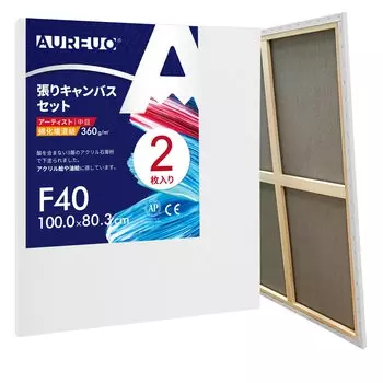 AUREUO Набор натянутых холстов F40, смесь хлопка и синтетических волокон средней зернистости, 2 шт. Инструменты для начинающих художников, создание художественной живописи, современная масляная живопись
