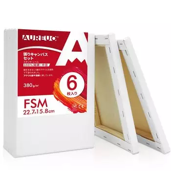 AUREUO Набор натянутых холстов FSM из хлопка средней зернистости, 6 предметов, инструменты для начинающих художников, создание художественной живописи, современная масляная живопись, художественное оформление, может быть