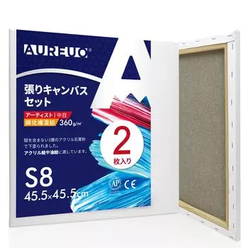 AUREUO Набор натянутых холстов S8, смесь хлопка и синтетических волокон средней зернистости, 2 шт. Инструменты для начинающих художников, создание художественной живописи, современная масляная живопись