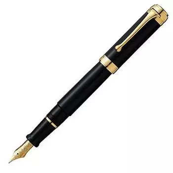 Перьевая ручка Aurora F Fine Point Tarentum Black, обычная импортная продукция D12-NF, двойного назначения чёрный