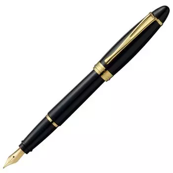 Перьевая ручка Aurora M Medium Point Epsilon Black, подлинный импортный продукт B11-NM, двойного назначения чёрный