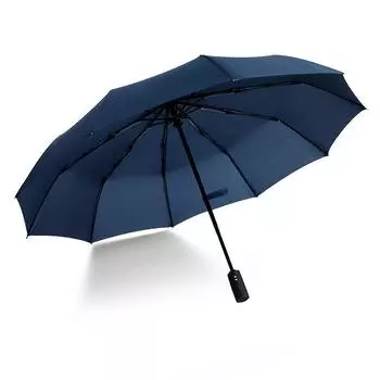 Automatic double-layer umbrella 10-bone wind-resistant three-fold men s umbrella umbrella word umbrella