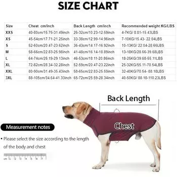 Autumn and Winter Pet Clothes Dog Two-legged Clothes High Collar Cold Protection and Warmth Dog Thickened Sweatshirt XXS