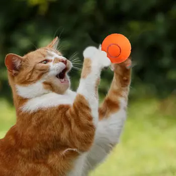 Автоматическая игрушка-мяч для кошек, катящиеся игрушки для котят, инстинкт, интерактивная с цветным светом, упражнения для оранжевый