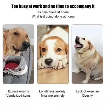 Автоматическая пусковая установка для теннисных мячей для собак Игрушки для преследования собак Автоматическая интерактивная машина для развлечения Интерактивная перезаряжаемая катапульта 6 Ball зелёный