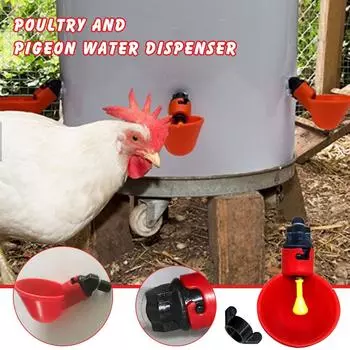 Автоматические поилки для кур, поилки, поилки для птицы, миски, красный диспенсер