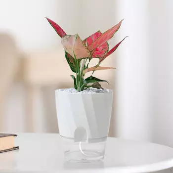 Автоматический водопоглощающий цветочный горшок для садоводства на подоконнике, многоцелевой в помещении M