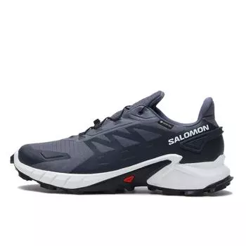 Автомобиль SALOMON Super Cross 4 GTX L47462300 Grisai Белый