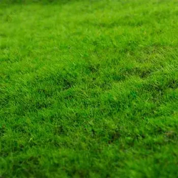 Аксессуары DIY Модель ручной работы Искусственный газон 20х25см