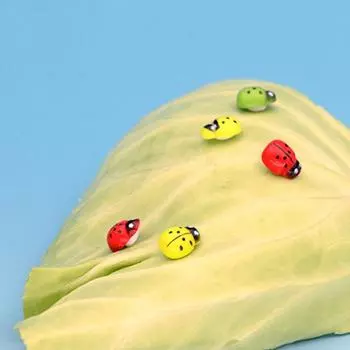 Аксессуары для дома Моделирование Бонсай Декор Фигурки божьих коровок Сказочный сад Пейзаж Деревянные поделки красный