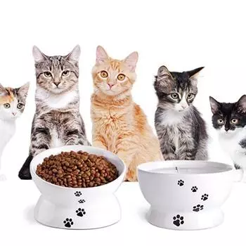 Аксессуары для домашних животных, антиопрокидывающаяся миска для кошачьей еды, медленная кормушка для собак, блюдо для еды котенка, миска для воды для кошек flat mouth синий