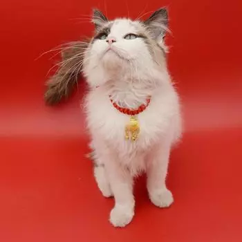 Аксессуары для домашних животных: плетеные вручную колокольчики с замком безопасности, красные ошейники для кошек, подвески на нагрудники для домашних животных, фотоаксессуары S 15-35cm