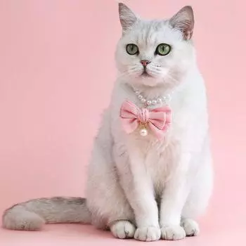Аксессуары для кошек Милое жемчужное ожерелье для кошек Ювелирные изделия Регулируемый ошейник для домашних животных для маленьких собак щенков Свадебный ошейник Аксессуары для костюмов кошек XS белый