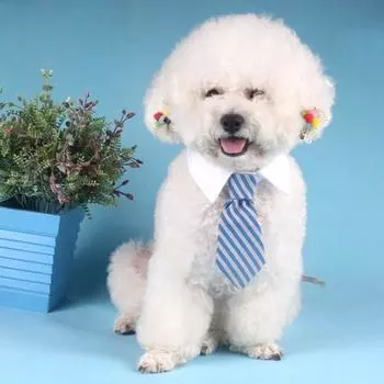 Аксессуары для собак среднего размера Ожерелье для собак Галстук для кошек Товары для ухода за домашними животными Костюмы для домашних животных Ошейник для собак S розовый