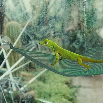 Аксессуары Треугольная подвесная резинка для рептилий Ящерица Кровать для птиц Лестница для бородатой агамы L чёрный