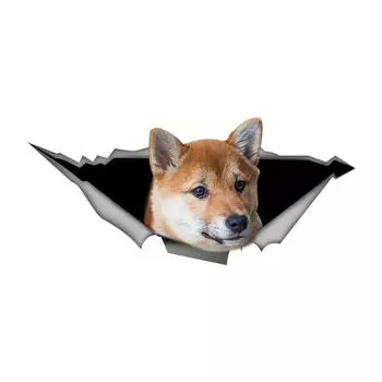 B0755 # наклейка с собакой Сиба-ину на автомобиль, виниловая наклейка, водонепроницаемые декоративные наклейки для автомобиля 13cm-Longest Side