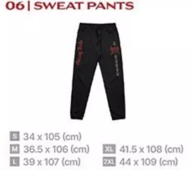 Б/у STRAY KIDS dominATE AUSTRALIA Limited Official MD СПОРТИВНЫЕ БРЮКИ L Размер WORLD TOUR SKZ