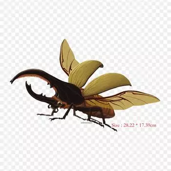 Бабочка Геркулес Жук Утюг с термопереносной печатью виниловые нашивки наклейки для одежды DIY аппликации моющиеся нашивки