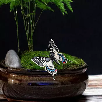 Бабочка Животное Модель Статуя Скульптуры Домашний Декор Коллекция Наука Животные Обучение