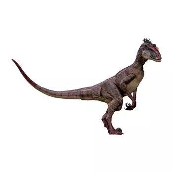 BACALYSO Nanmu Honshinkusu Kai Velociraptor Фигурка самки самца подвижные суставы подвижные 35 см класс плотоядный динозавр реалистичная пластиковая модель игрушка