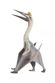 BACALYSO TNG Quetzalcoatlus Pterosaur Dinosaur Figure 18CM Class Cretaceous Azhdarchidae ПВХ Модель Пластиковая модель Игрушка Отдельно стоящая демонстрационная модель Игрушка