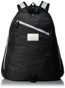 Backpack Official Daypack LT Current Model BLACK [Gregory]