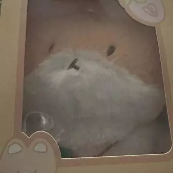 Бэкхён Теолаеги 20см