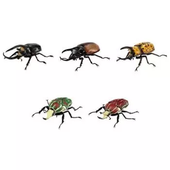 BANDAI Illustrated Encyclopedia of Creatures Beetle 08 x Все 5 типов Набор Полный Комп Gacha Gacha Capsule Игрушка