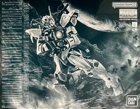 Bandai MG Gundam ASTRAY Outframe D JESS USE Мобильный костюм 1/100 ZGMF-X12D RABBLE s