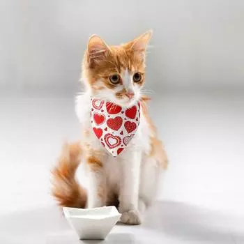 Банданы для собак на День святого Валентина, дизайн банданы «Я люблю тебя» и «Двойное сердце», костюмы для собак на свадьбу и праздники
